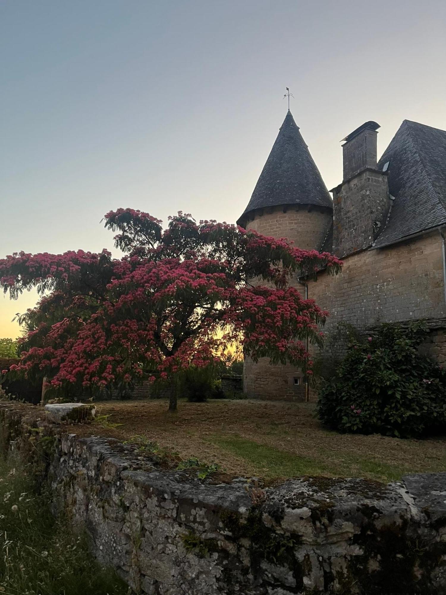 Le Cantou Affieux Exterior foto